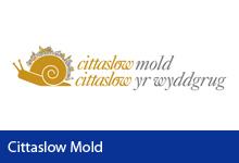 Cittaslow Mold Button